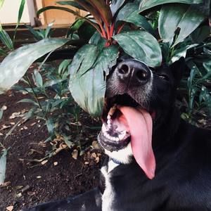 Meet your Posher, Deliana